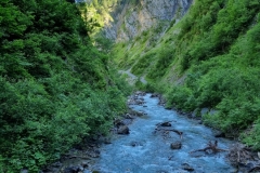 PHOTO-2021-07-03-13-30-57-4