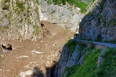 PHOTO-2021-07-06-05-47-23-2