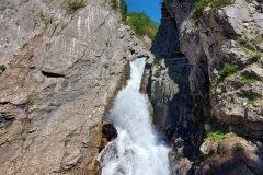 PHOTO-2021-07-06-05-47-23-3