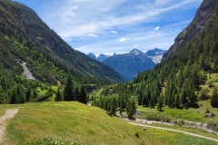 PHOTO-2021-07-06-05-47-24