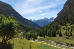 PHOTO-2021-07-06-05-47-25-2