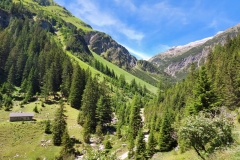 PHOTO-2021-07-06-05-47-25